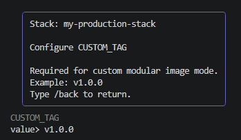 Custom image version